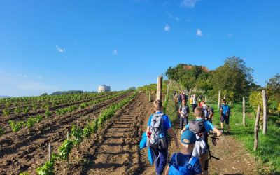 Prvi izlet planinskega krožka po poti miru v Oslavje