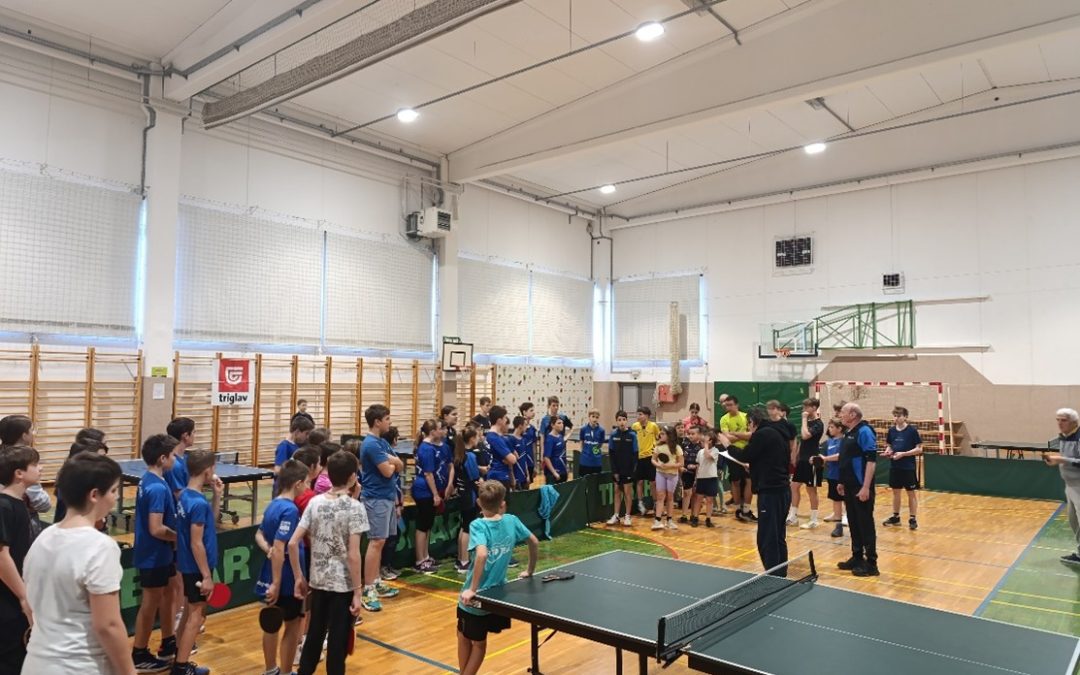 Tekmovanje – namizni tenis